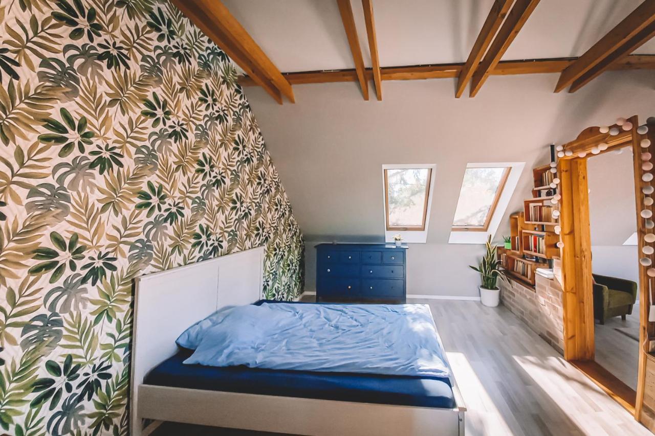Pannonia Apartment Göd エクステリア 写真