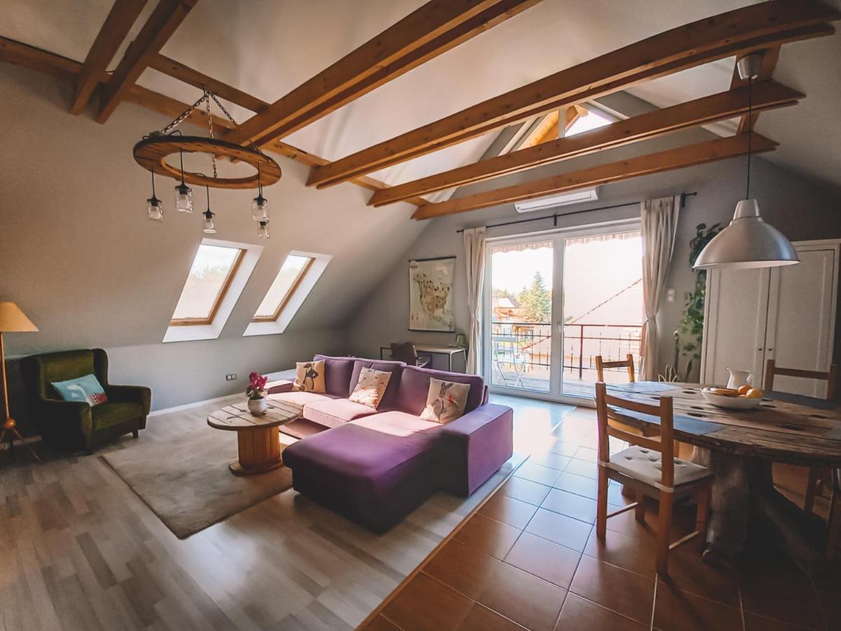 Pannonia Apartment Göd エクステリア 写真