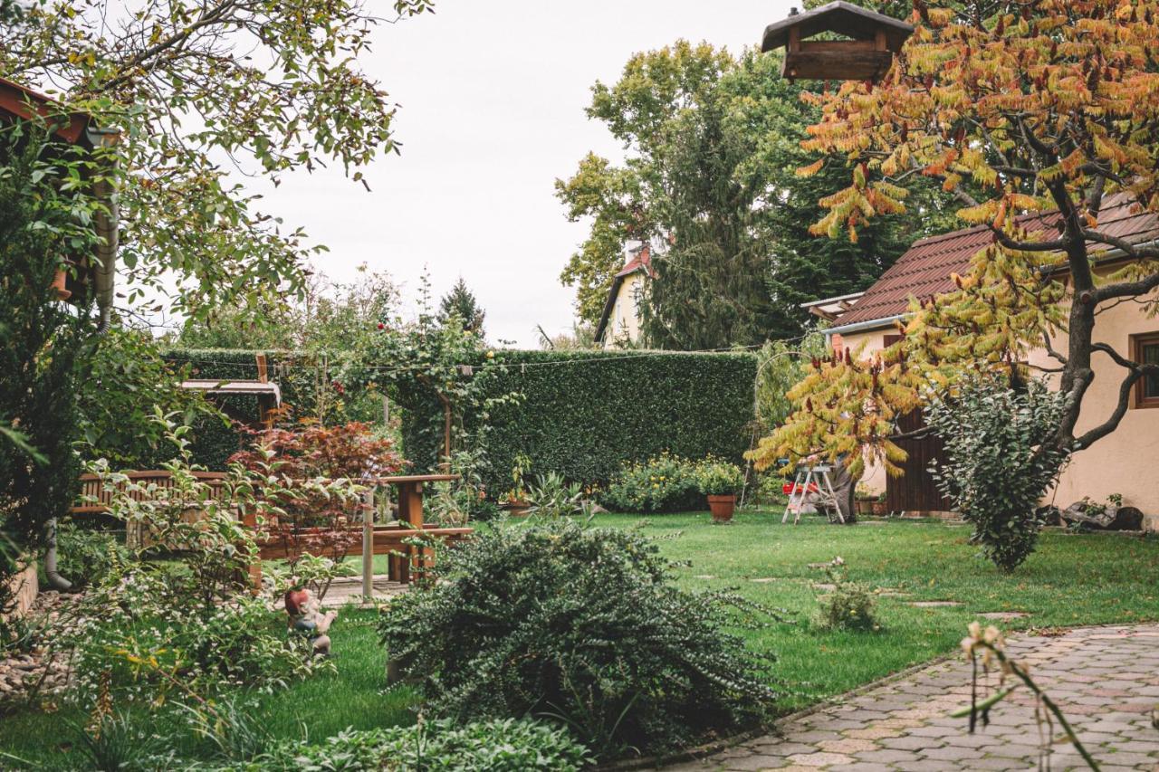 Pannonia Apartment Göd エクステリア 写真