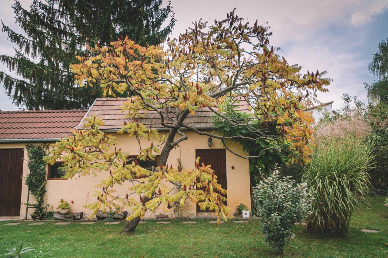 Pannonia Apartment Göd エクステリア 写真