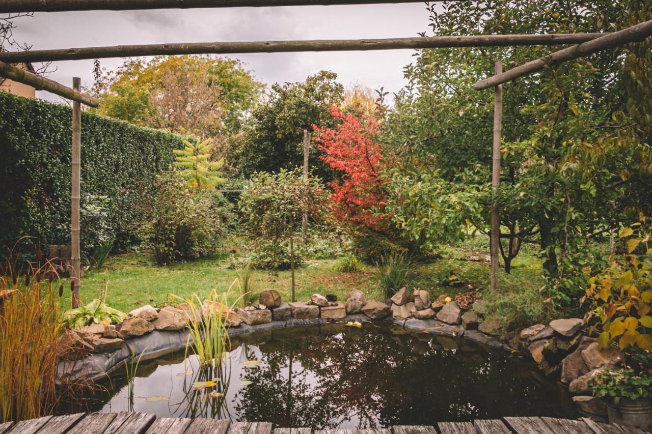 Pannonia Apartment Göd エクステリア 写真